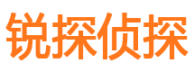 横山私人侦探